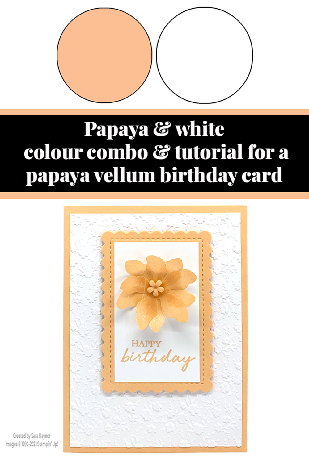 Tutorial for papaya vellum card Sara's crafting and stamping studio