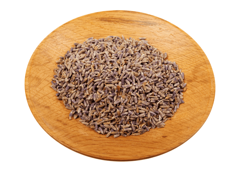 How to Harvest Lavender Seeds Crafting Her Blooms