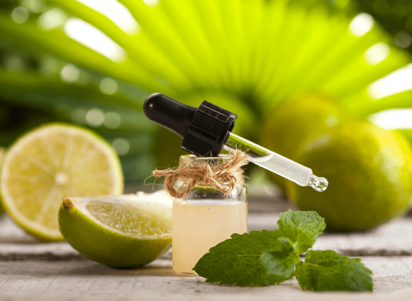 Lime Essential Oil Uses and Benefits Crafting Her Scents