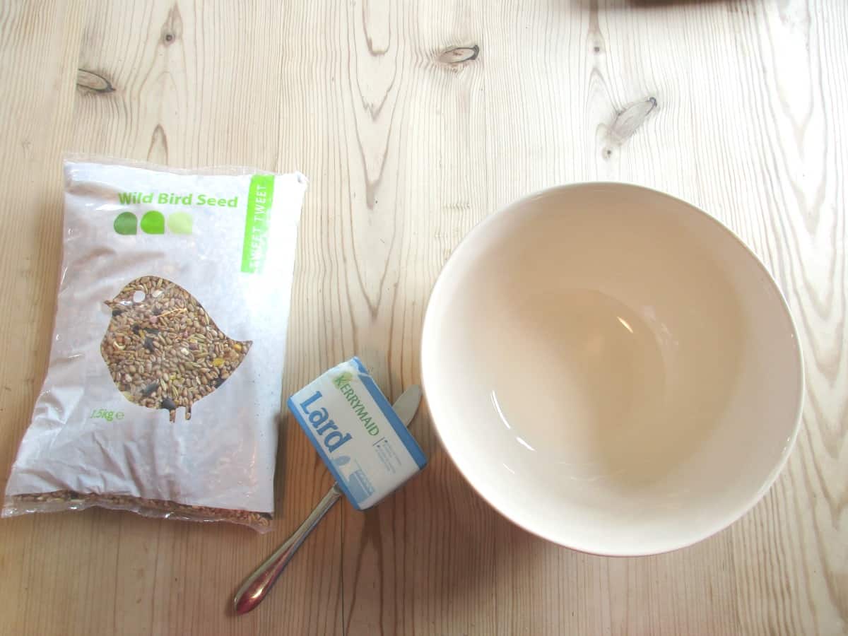 How to Make Easy Bird Seed Fat Balls • Craft Invaders