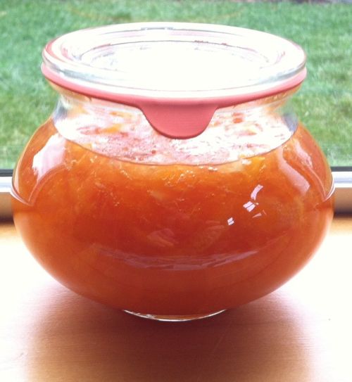 craftlog » Blog Archive » lazy person meyer lemon and cara cara orange