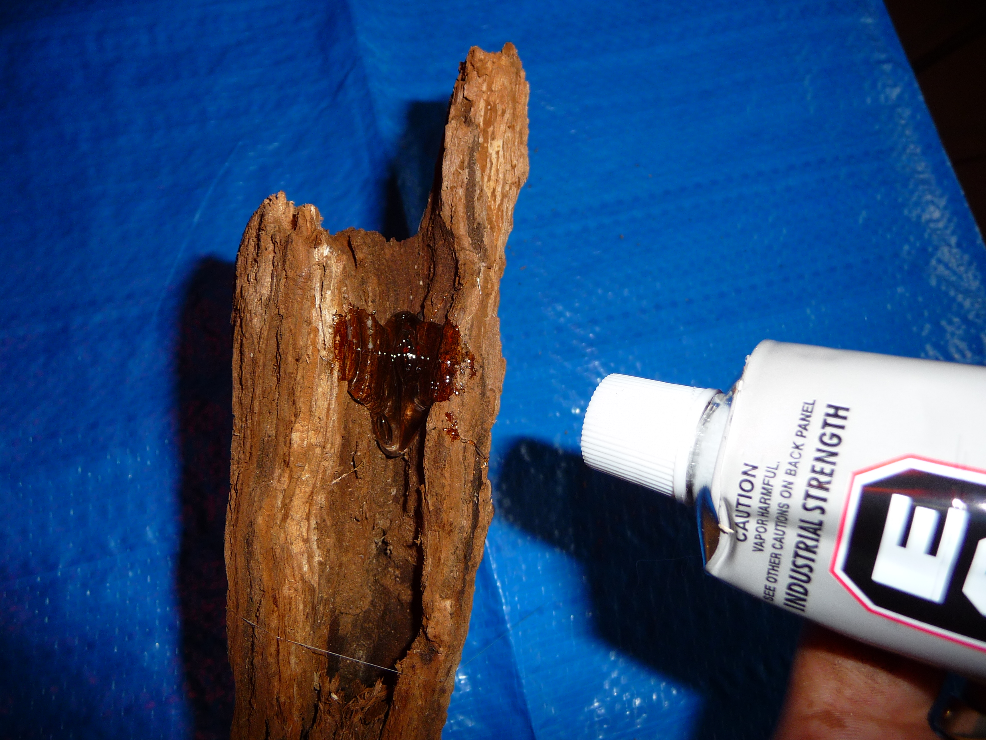 Gnarly Wooded Air Plants Craft Organic