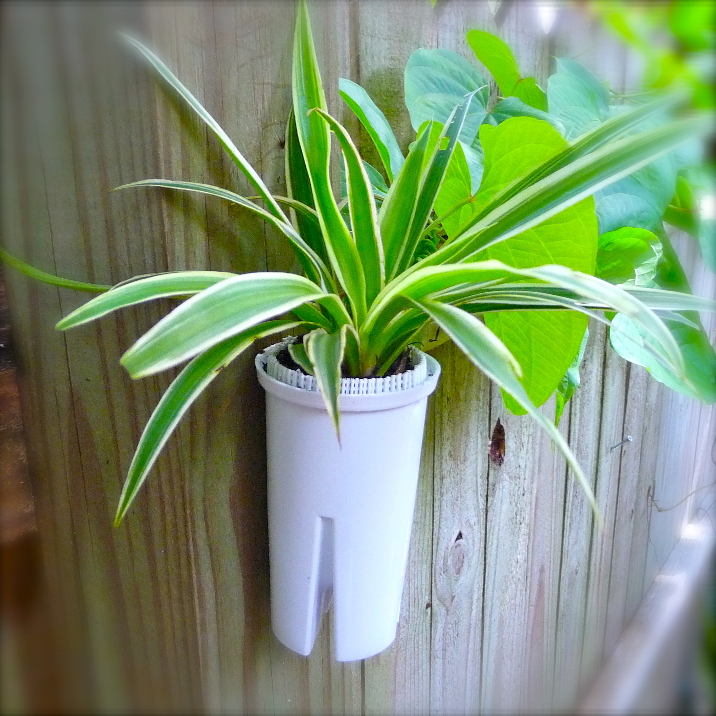 Repurposed Brita Water Filters Craft Organic