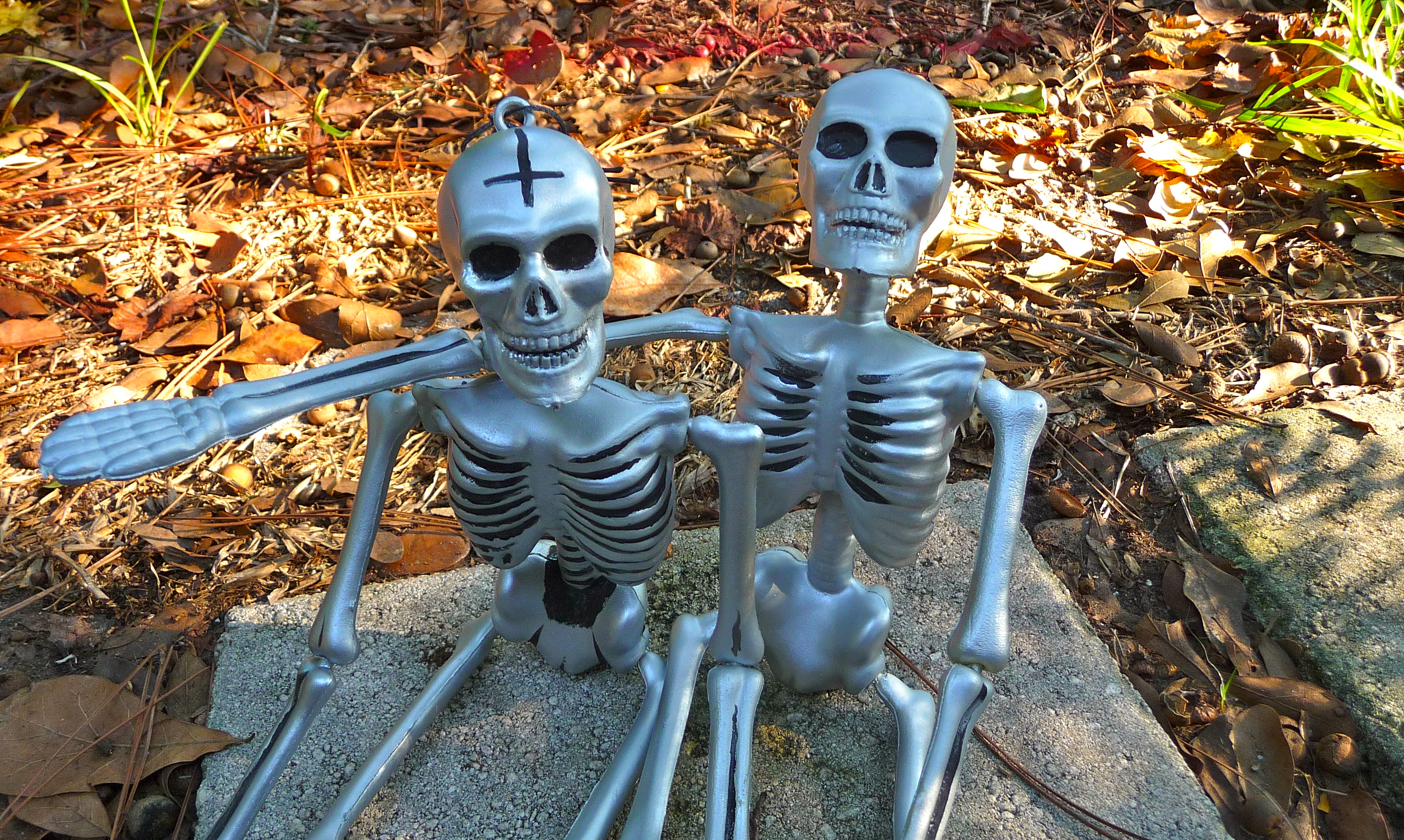 Recycled Halloween Craft Organic