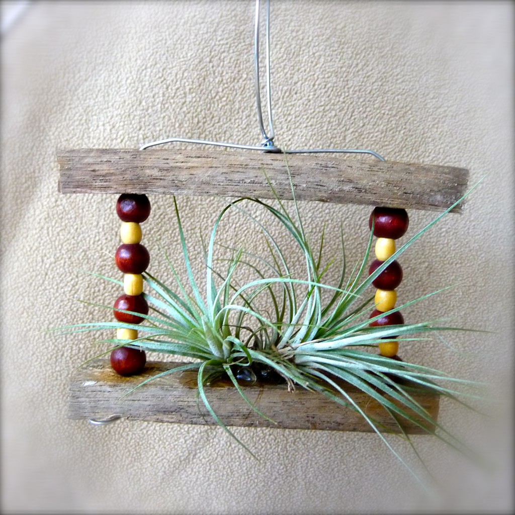 Air Plant Projects from Scrap Materials Craft Organic