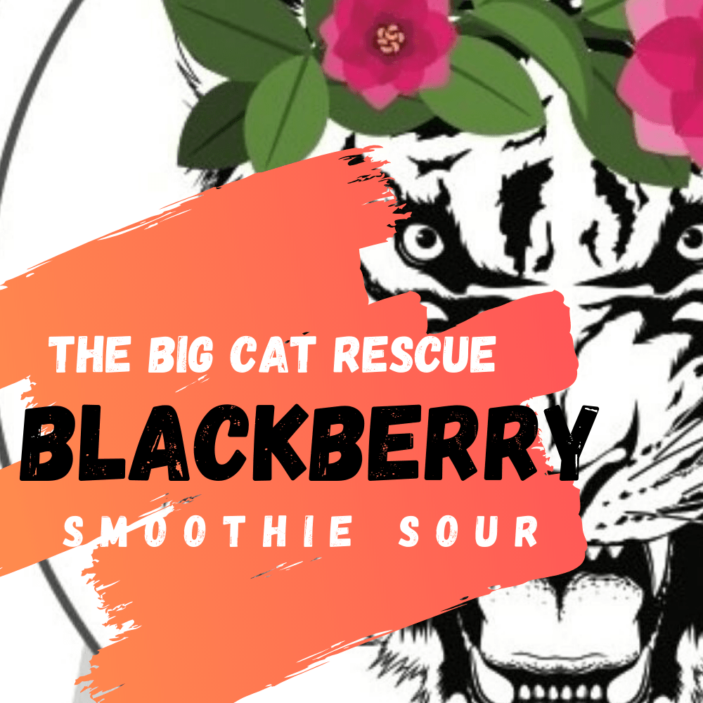 CHARLOTTE ONLY Big Cat Rescue (Cool Cats & Kittens) Catawba Brewing