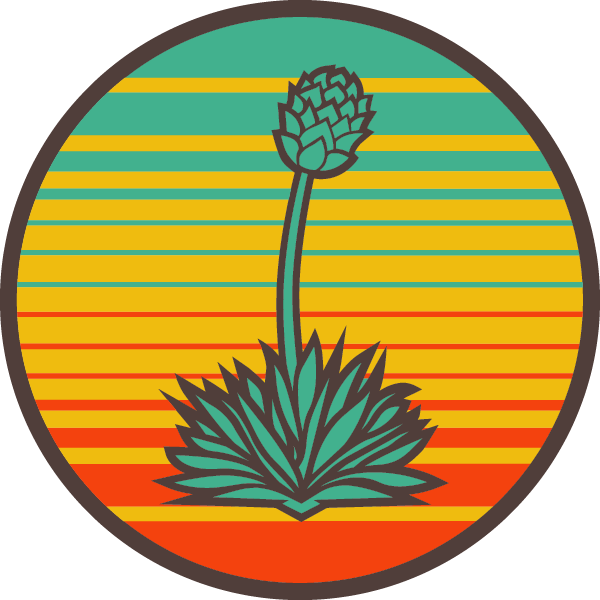 Black Yucca Tee Pondaseta Online Shop