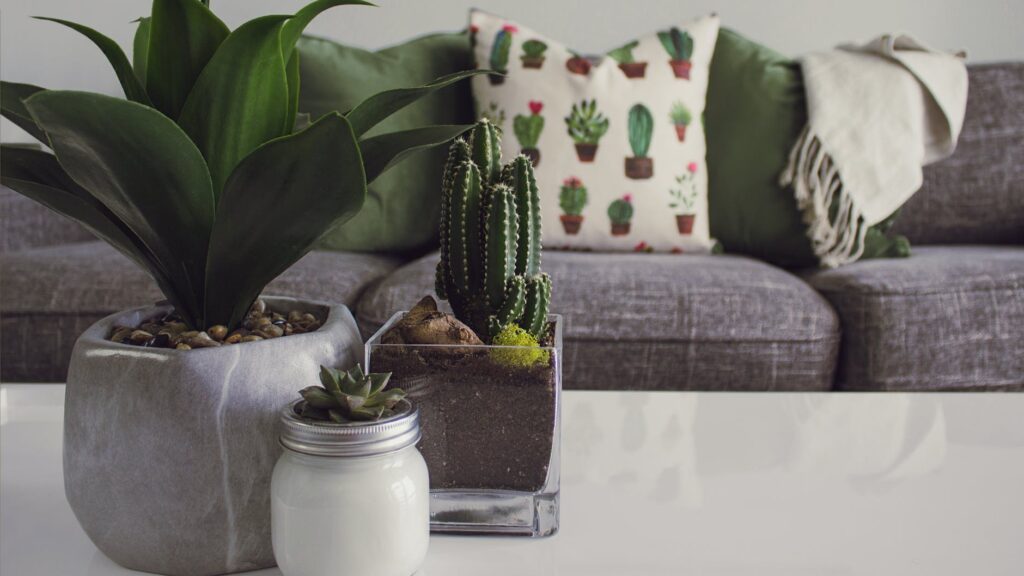 10 Stunning DIY Home Decor Ideas On A Budget