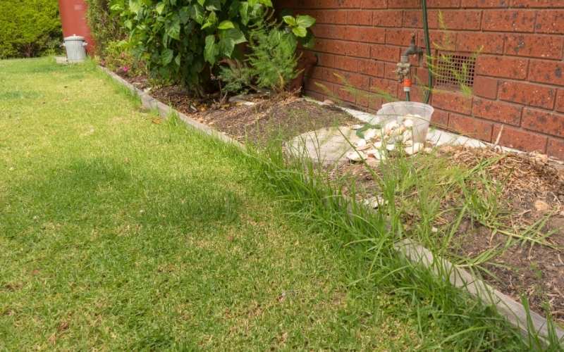 9 Best Landscape Edgers for Lawn and Flower Bed Edging