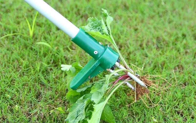 32 Gardening Tools Every Serious Gardener Should Have
