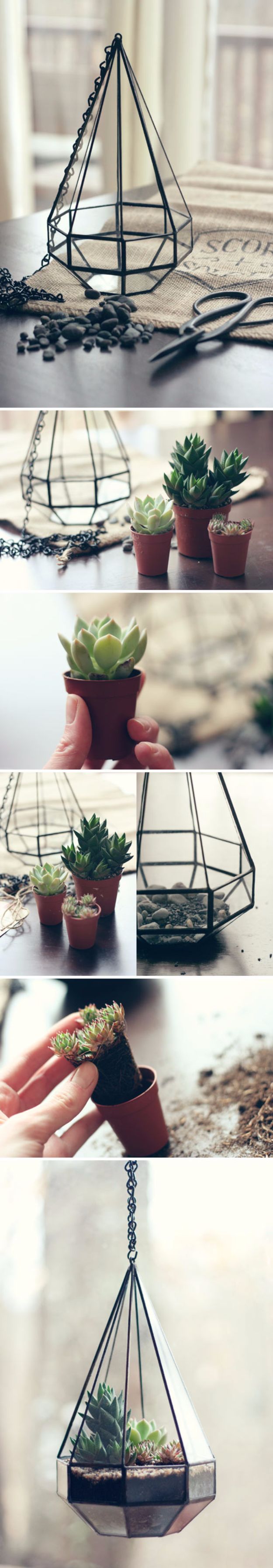 20 Magnificent DIY Terrarium Ideas For Your Home Craftsonfire