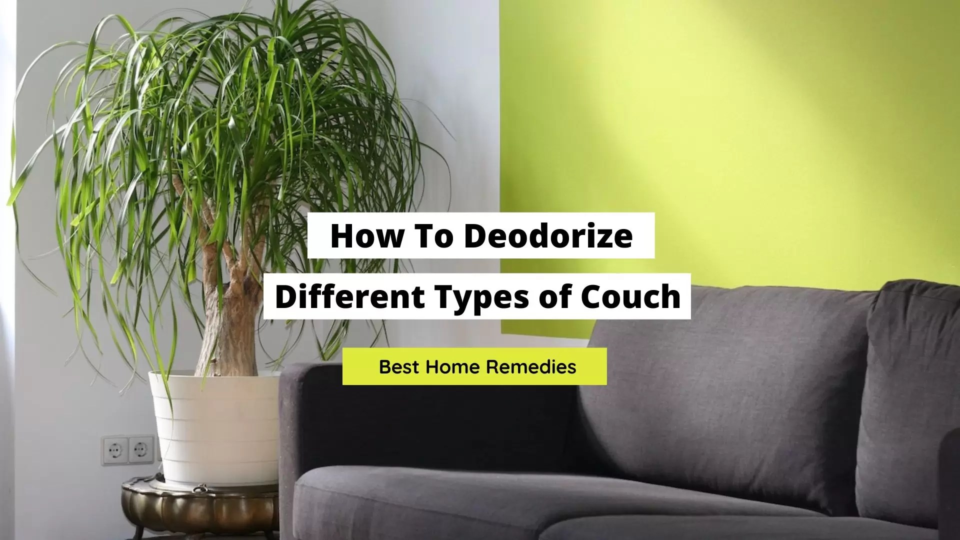 How To Deodorize Different Types of Couch Best Remedies Craftsonfire