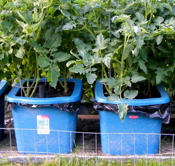 25 Easy DIY Self Watering Planters Craftsy