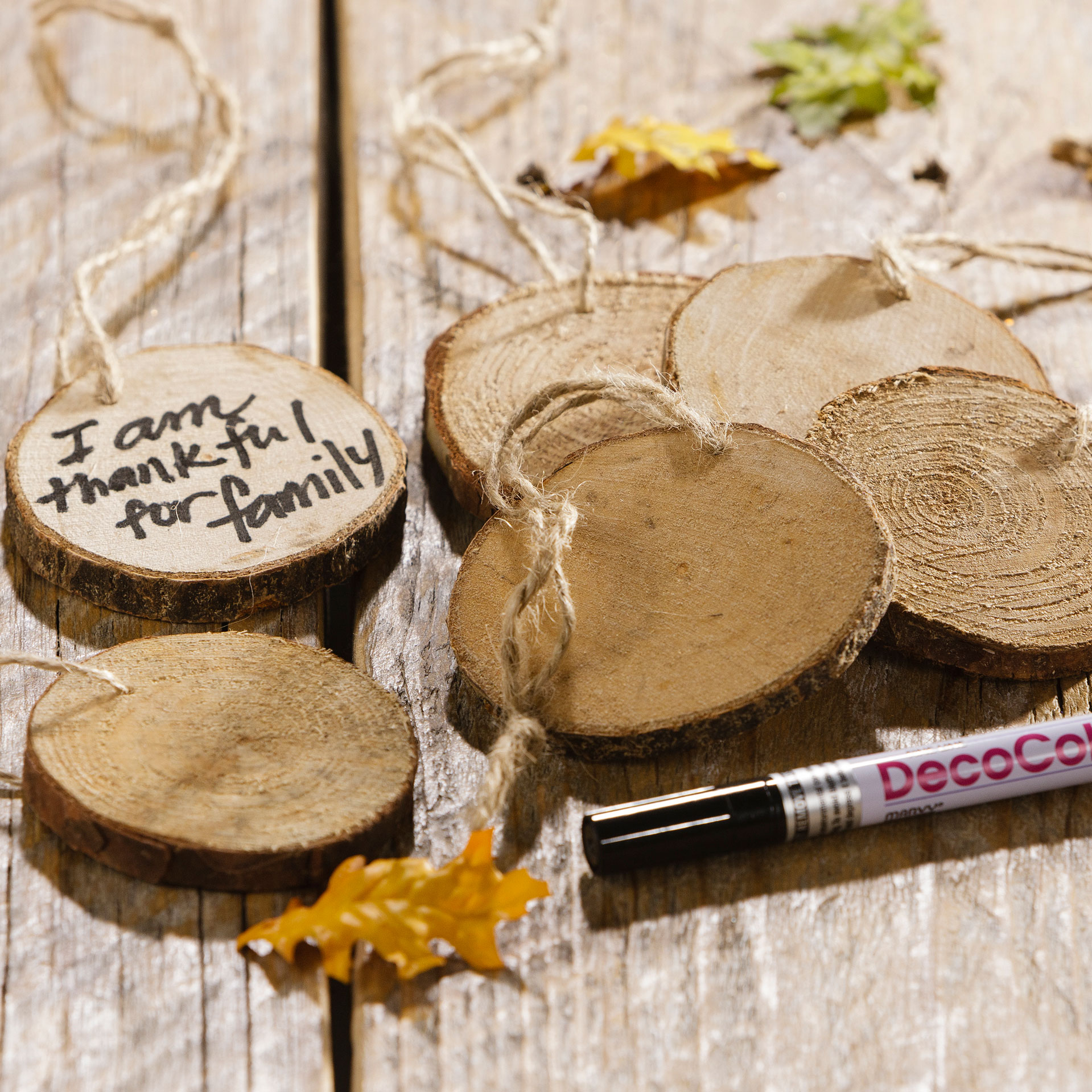 Wood Round Ornaments Craft Warehouse