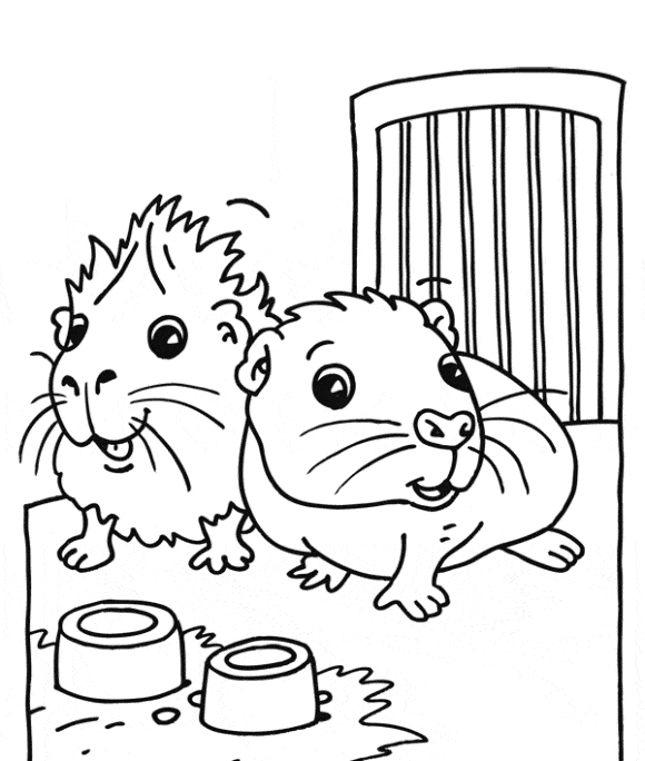 10 Adorable Guinea Pig Coloring Pages For Kids & Adults