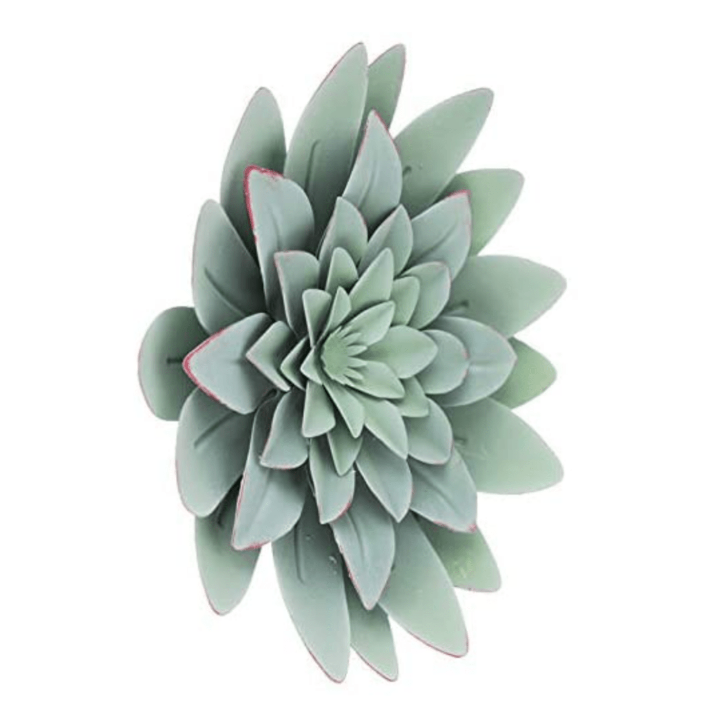 Green Succulent Metal Wall Decor Crafty Crocodile