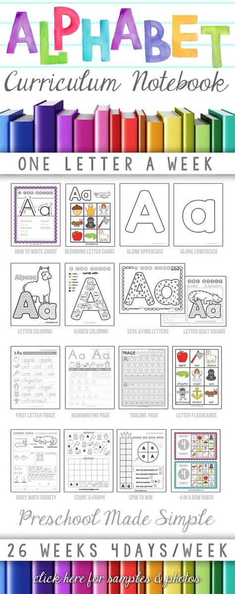Alphabet Curriculum Notebook - The Crafty Classroom