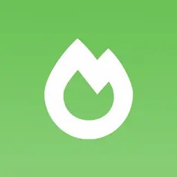 Concurrent Chunk Management Engine Minecraft Mod 1.21.4 - CraftyMania