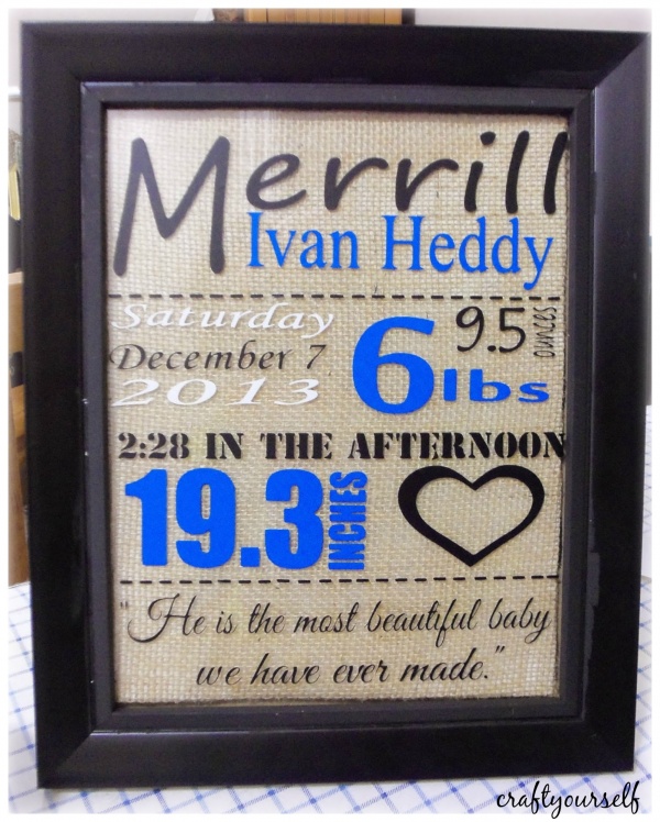 Baby Statistics Framed Gift Craft