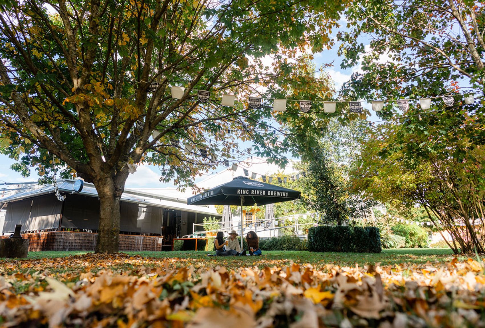 King River Brewing The Crafty Pint