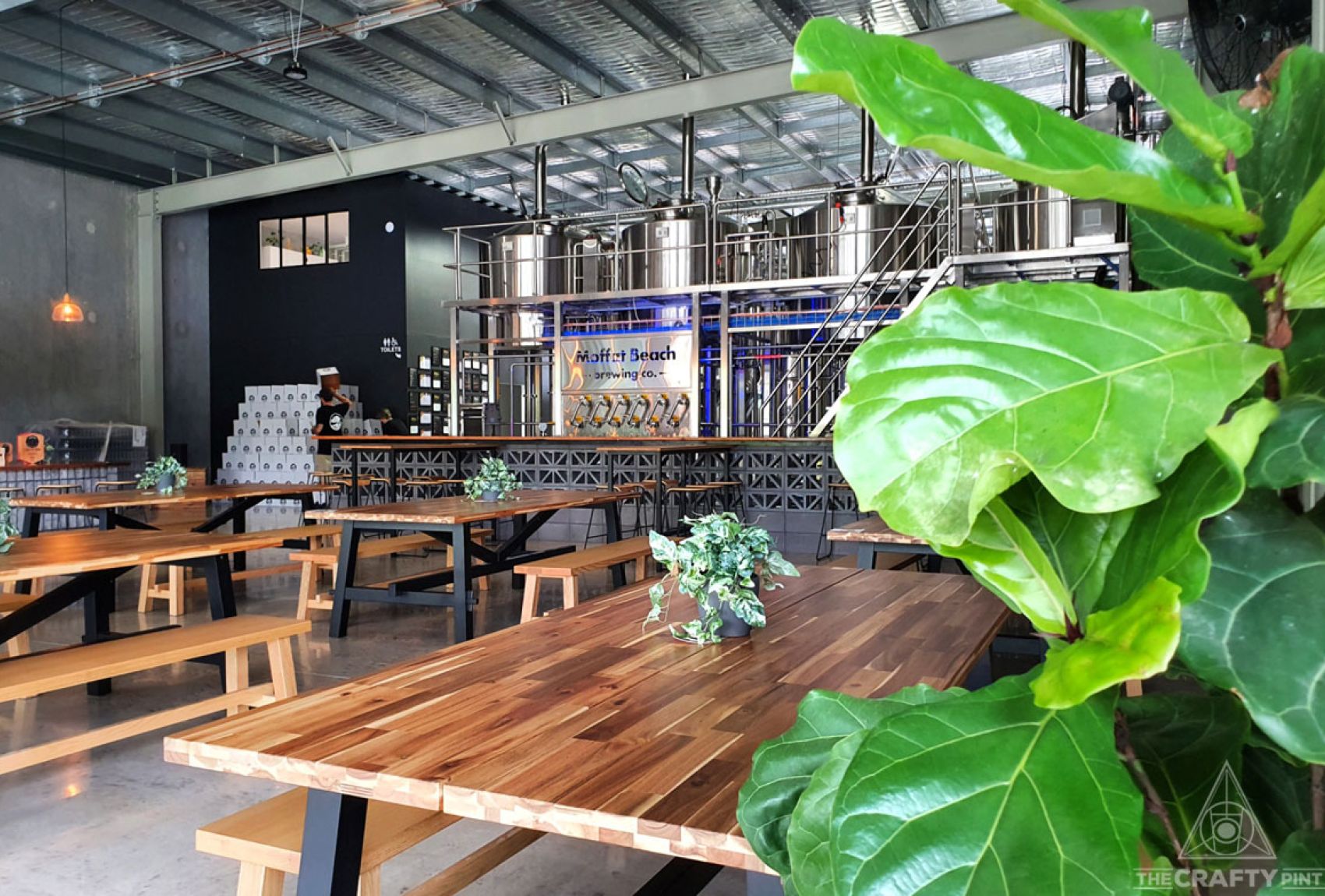 Moffat Beach Brewing Co (Caloundra) The Crafty Pint