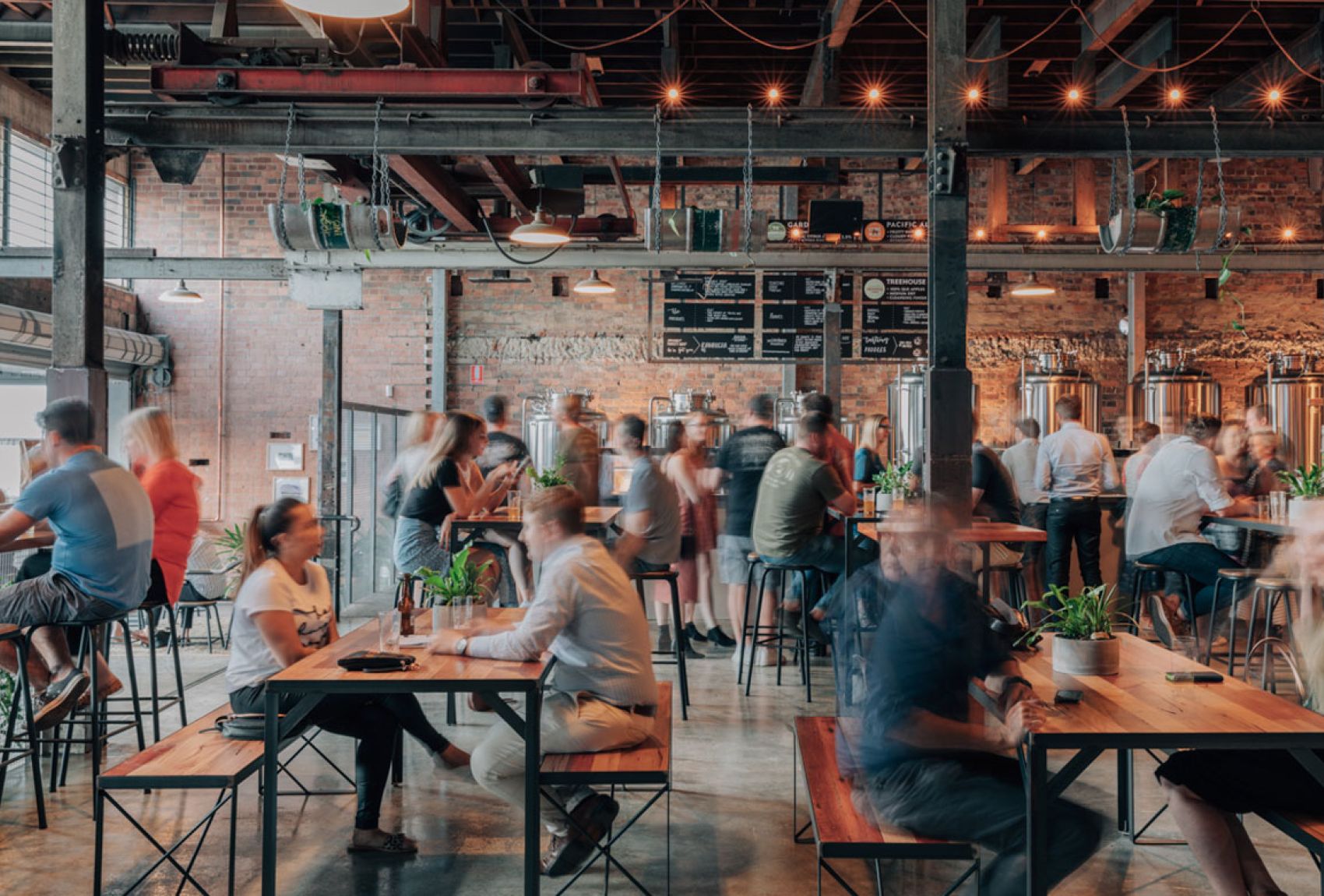 Stone & Wood Brewery Brisbane The Crafty Pint