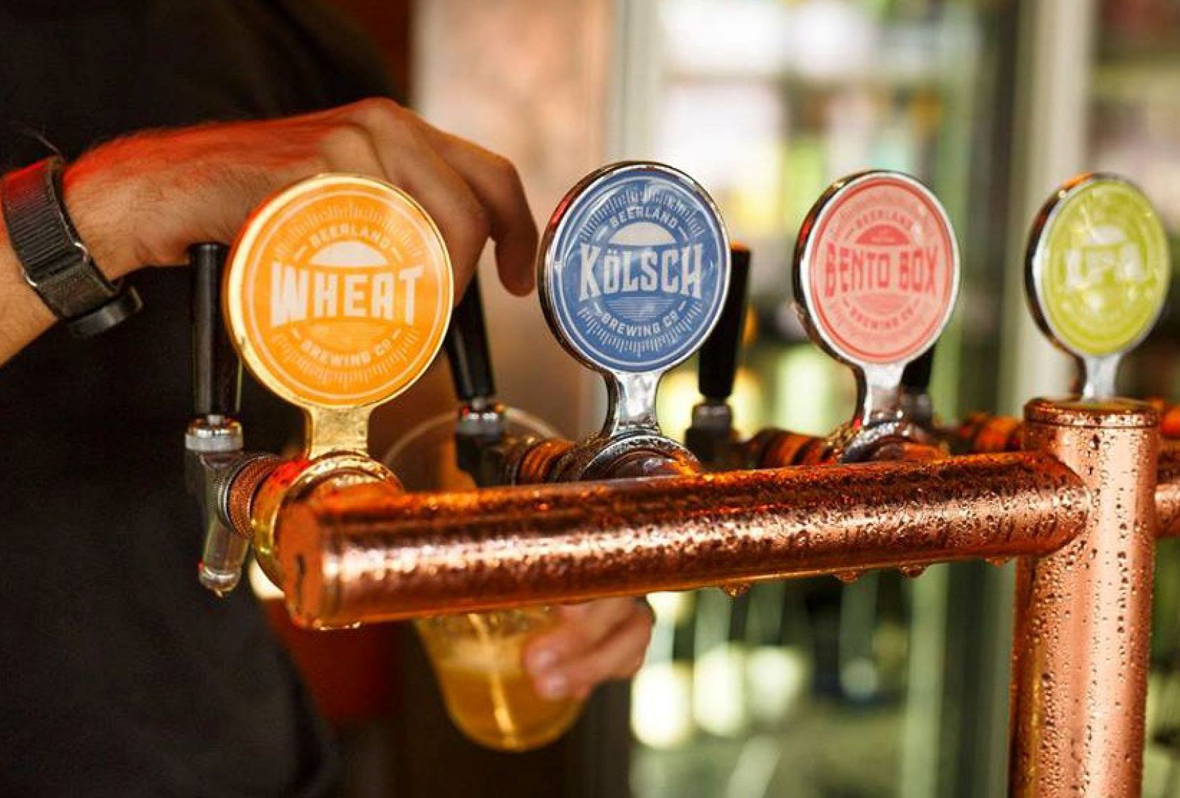 Beerland Brewing The Crafty Pint