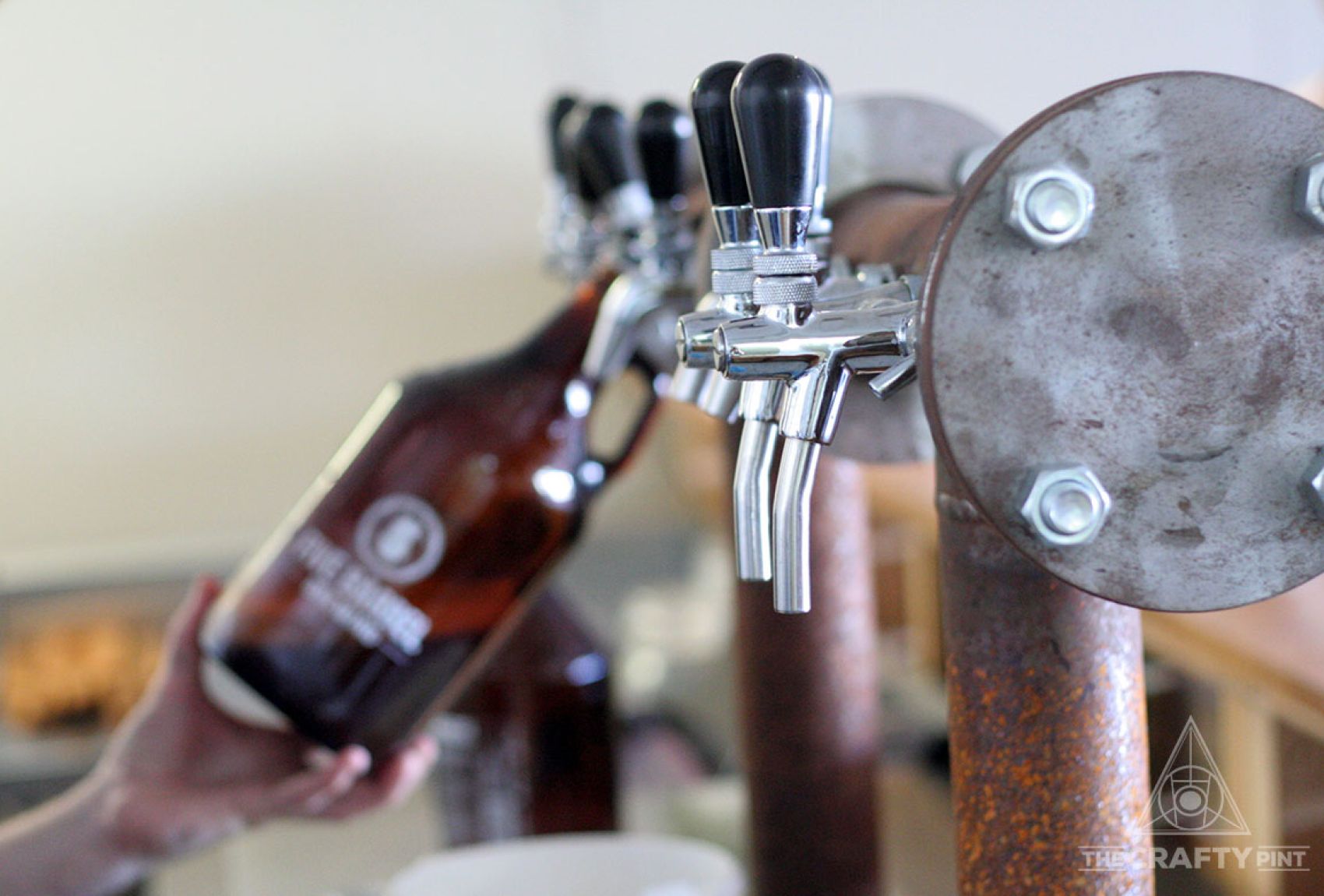 Five Barrel Brewing The Crafty Pint