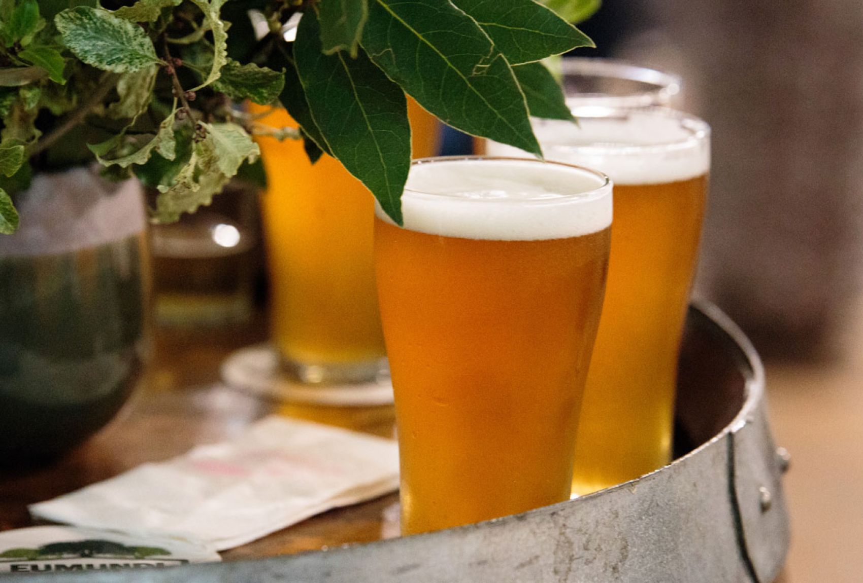 Eumundi Brewery (Lion) The Crafty Pint