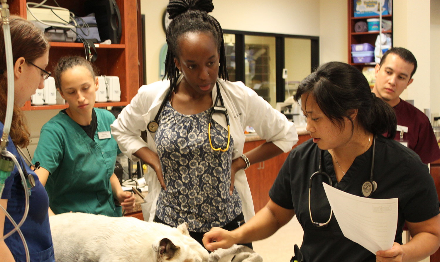 Student Extern Program