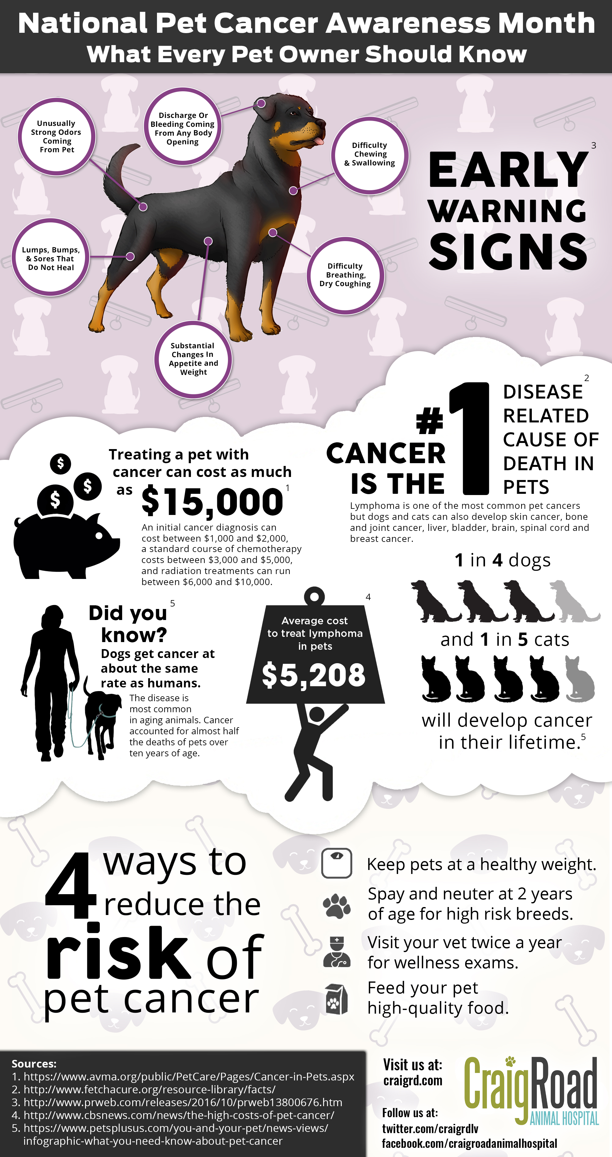 Pet Cancer Infographic