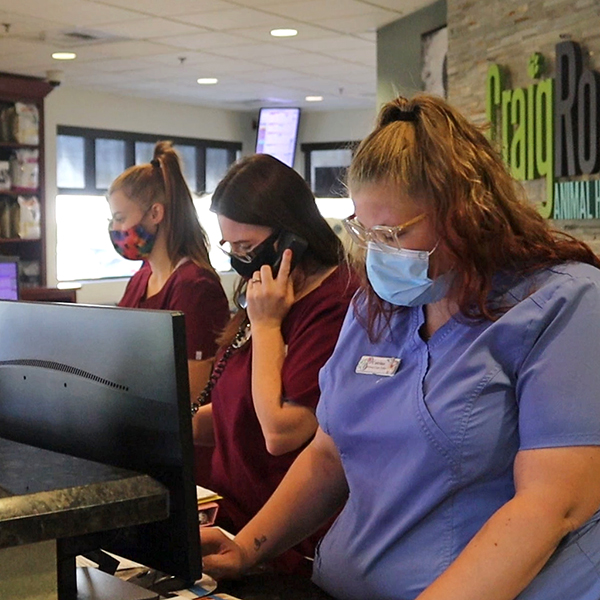Reopening Craig Road Animal Hospital Craig Road Animal Hospital