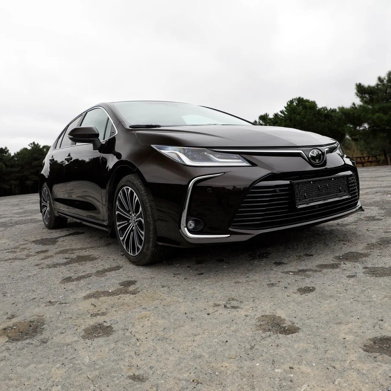 Best Toyota Repair Shop in Allen Craig's Car Care