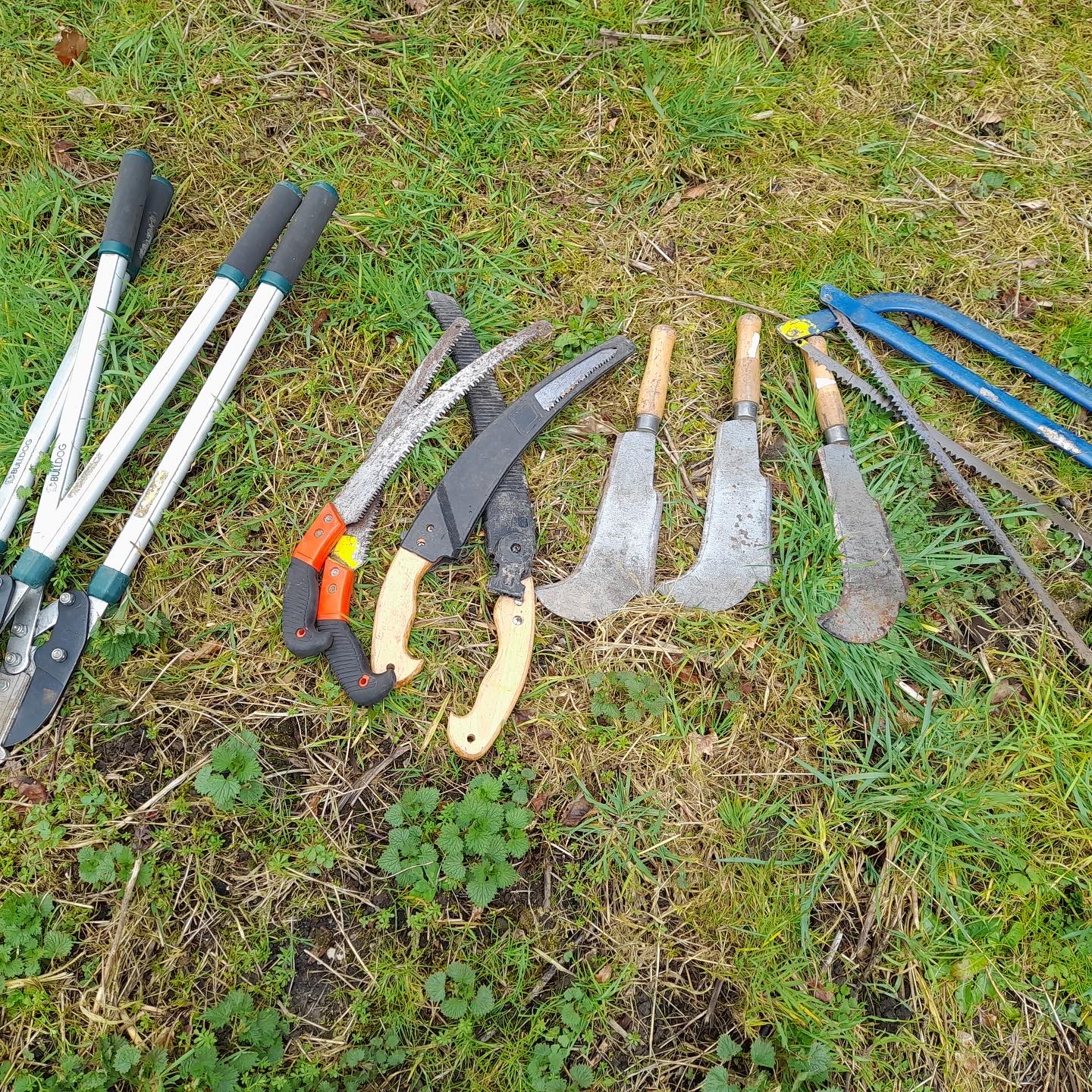 Woodland Skills Training and Grants Cranborne Chase National Landscape