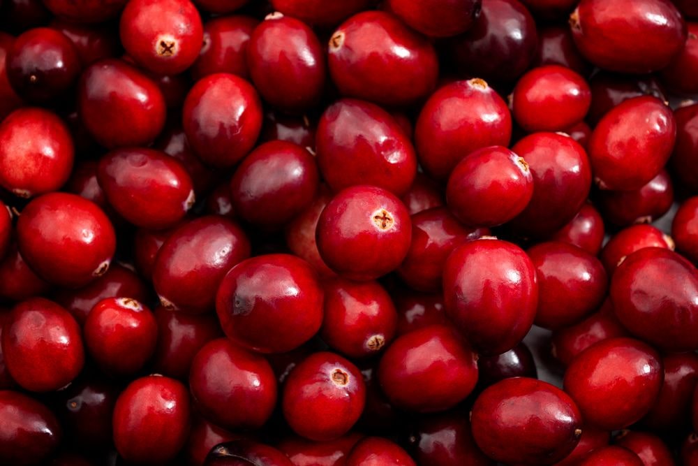 Cranberries are High in Fiber Cranby