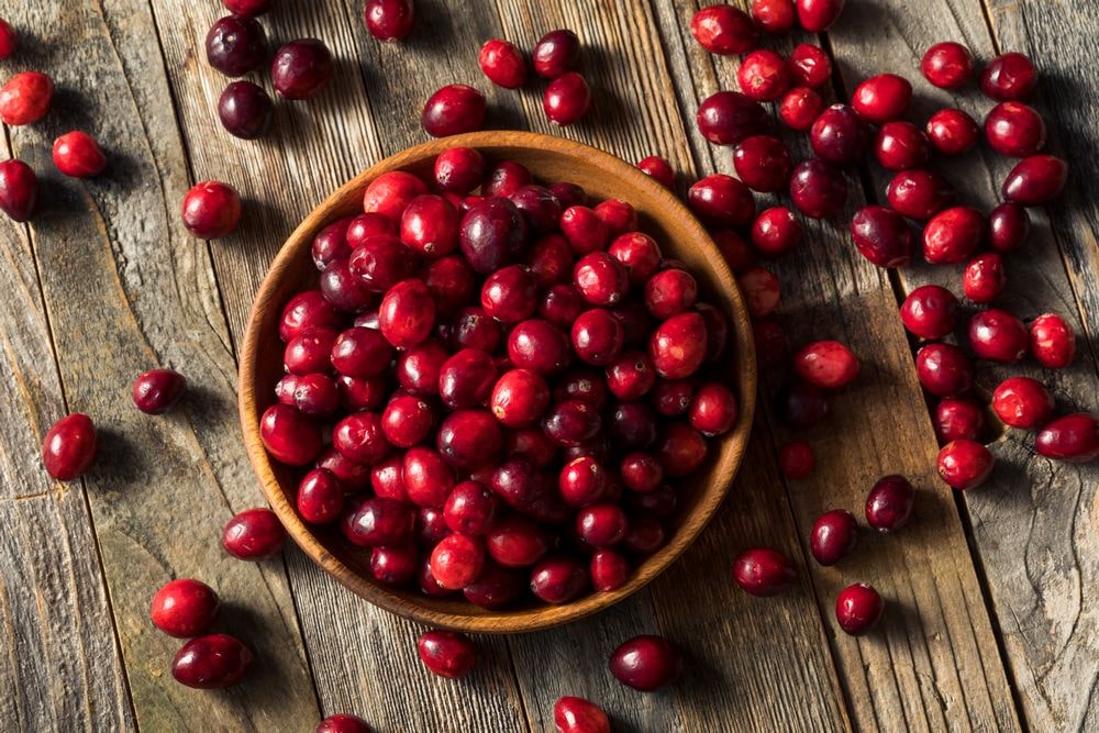 Cranberries and Oxalates Cranby