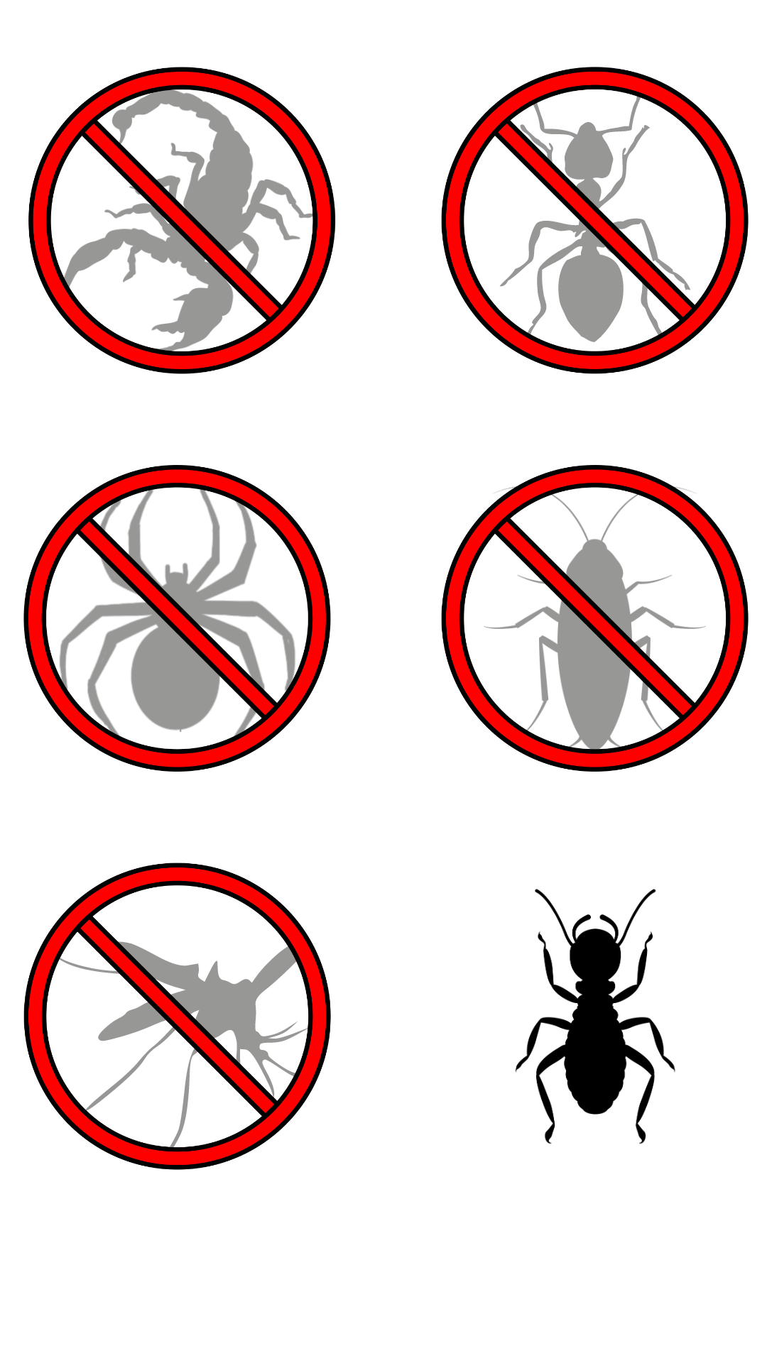 Best Pest Control Packages And Pricing in 2024