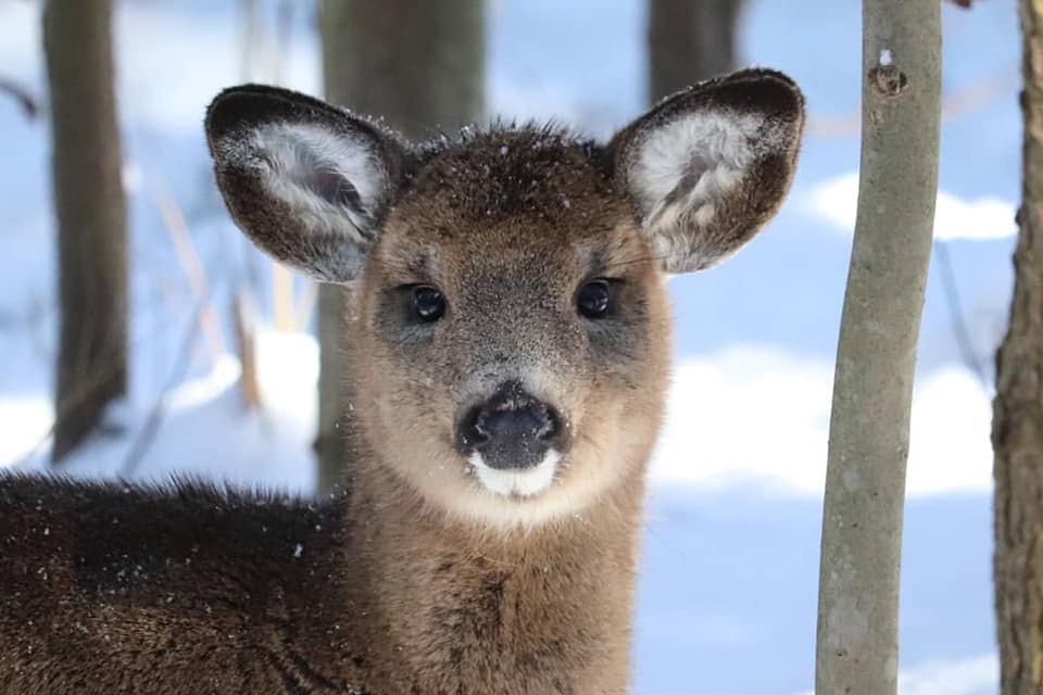 About Craneridge … Craneridge Homeowners Association