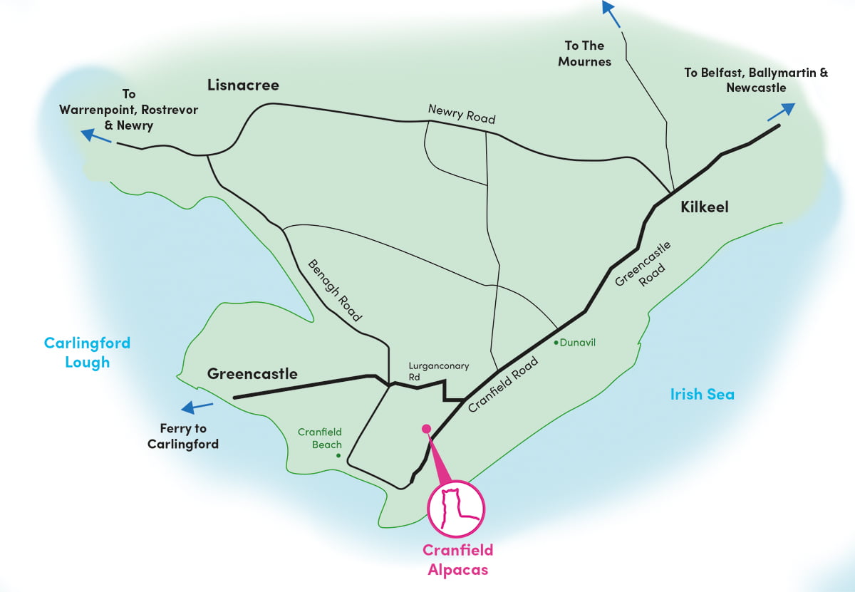 Plan Your Visit Cranfield Alpacas
