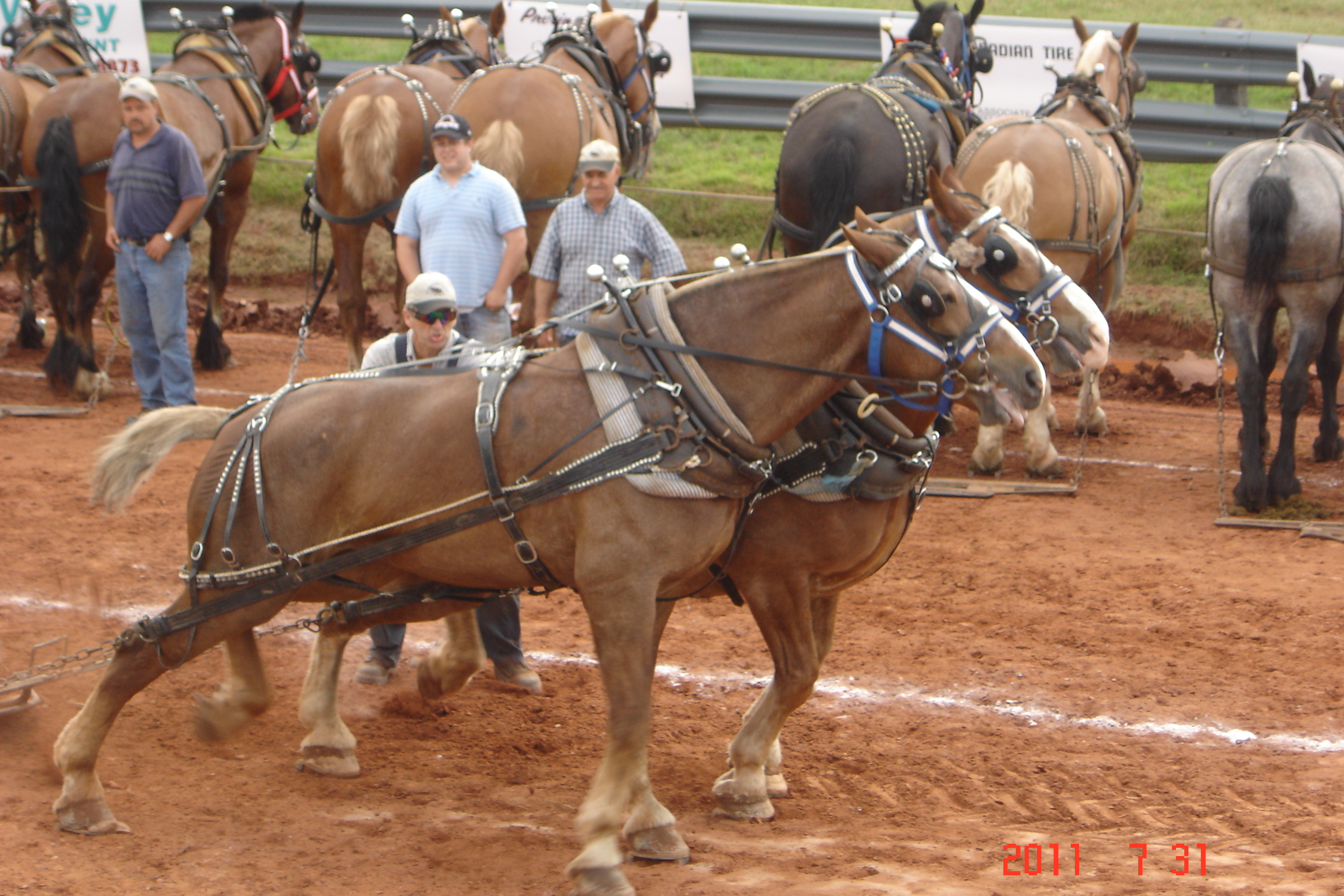 Crapaud Exhibition Photos