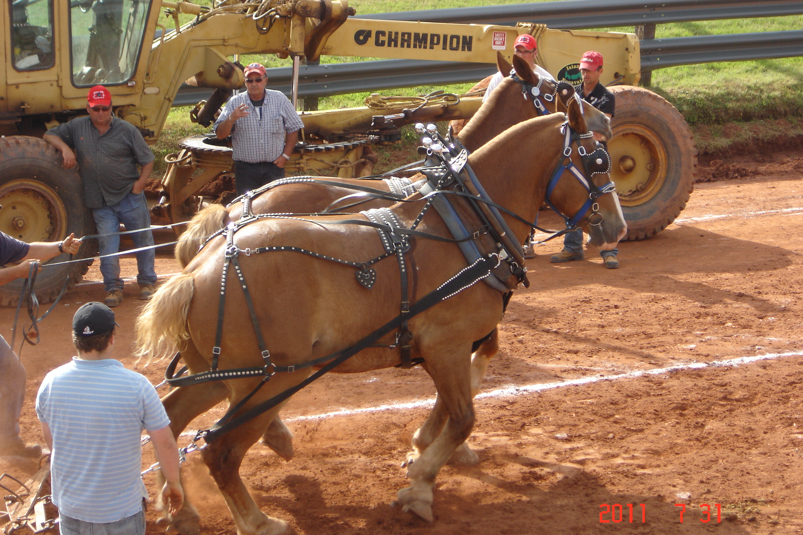 Crapaud Exhibition Photos