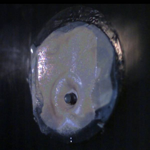 Spidergoatsilk + human skin = (nearly) bulletproof flesh Boing Boing