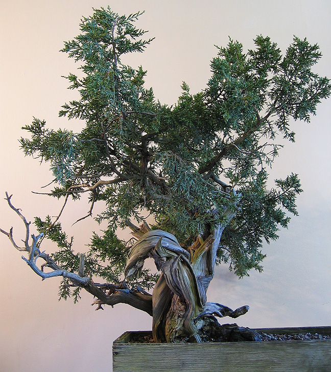 oneseedbefore Michael Hagedorn