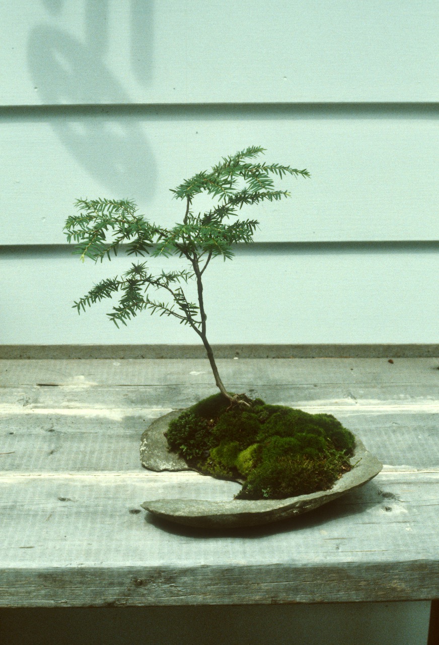 B01P02 17 Michael Hagedorn