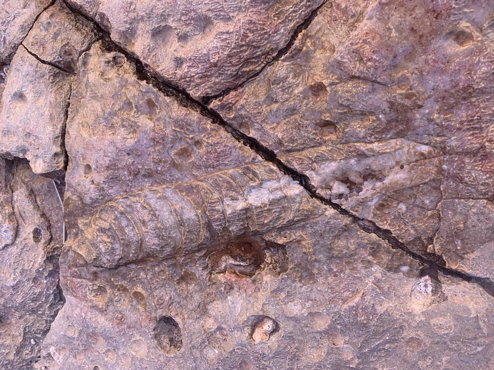 Basic Grand Canyon Geology in a Grand Canyon Rafting Time Machine