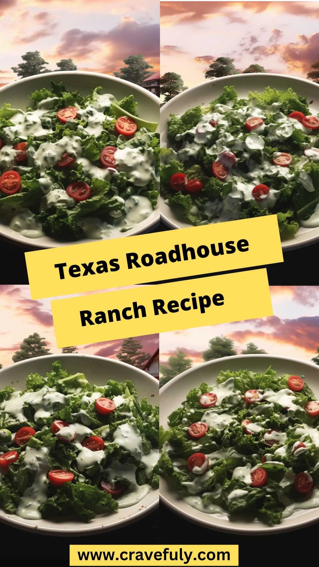 Texas Roadhouse Ranch Recipe Cravefuly