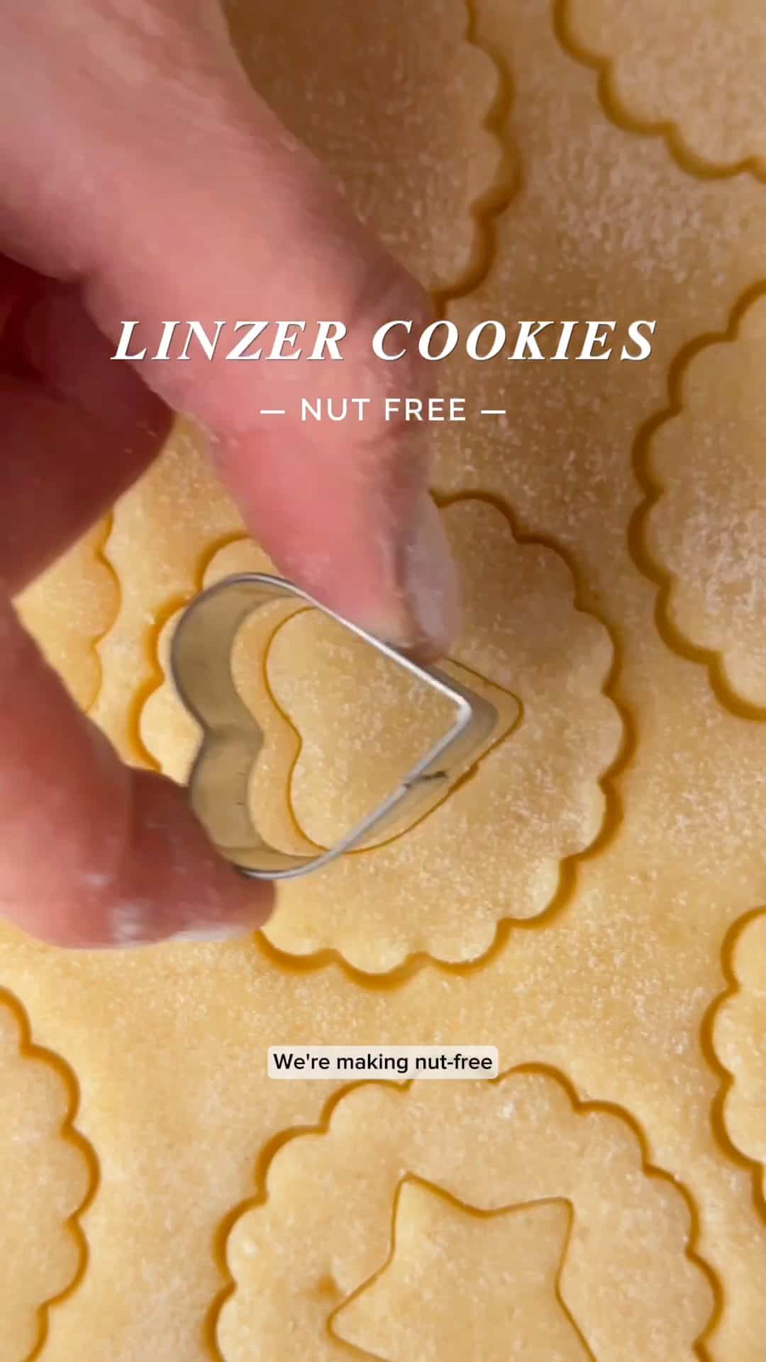 nutfreelinzercookiesreelposter Cravings Journal