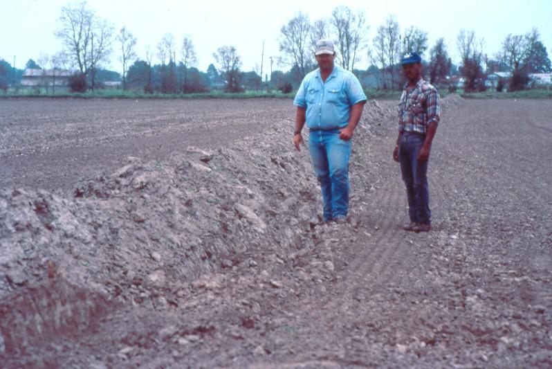 Ponds Louisiana Crawfish