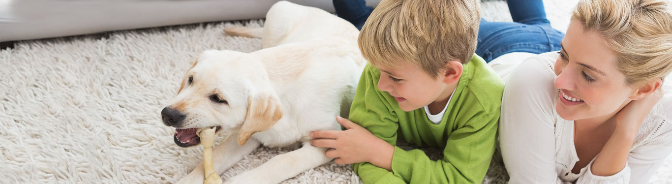 pest control Jacksonville, Yulee, St. Augustine FL