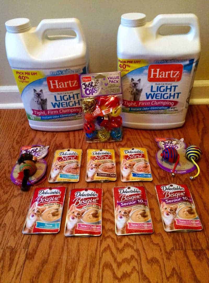 Our New Begnal Kitten & Her New Hartz® Cat Products!